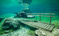 Gruner See