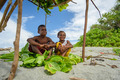 Papua