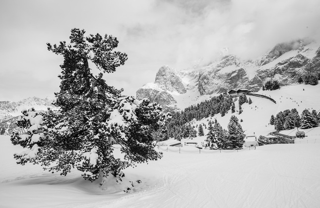 Dolomity