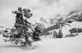 Dolomity