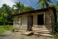 Papua