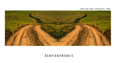 Schyzofrenic