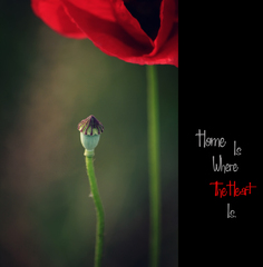 Home Is Where The Hearth Is