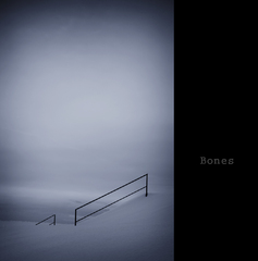 Bones