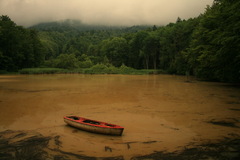 Národný park Poloniny