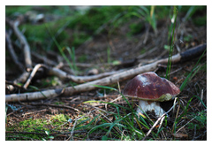 Kde sa vzal, tu sa vzal