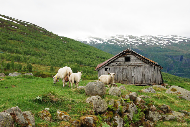 Nórska príroda