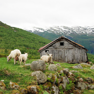 Nórska príroda