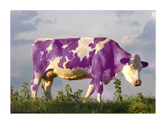 Milka zije aj na slovensku :D