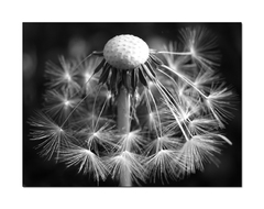 Skončil sa jej čas