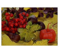 Jesenné zátišie 2