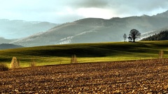 V šírom poli kaplnka III