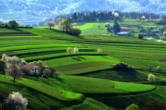 Hriňovské pohľady..