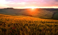 Ranné pohladenie mojej duše...