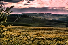 Môj Toskánsky sen XXX