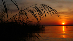 "Večer na Lago di Garda VI"
