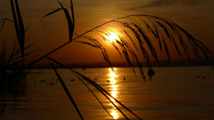 "Večer na Lago di Garda III"