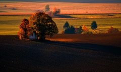 Vo farbách jesene..