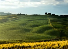 Na zelenom kopci domček(y)...