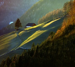 Postav dom, zasaď strom..