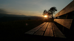 "Pamodaj šťastia, lavička" 