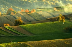 Vlna za vlnou sa valí..