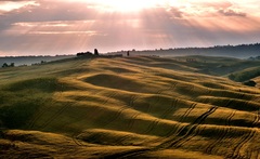 Ranné predstavenie..