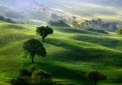 Kto nájde bažanta? :o)
