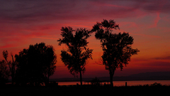 "Večer na Lago di Garda II"
