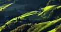 Tirolské podvečery..