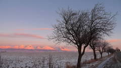 "Ranné Tatry II"
