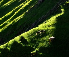 V posledných lúčoch..