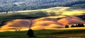 Obrázky z Val d´Orcia