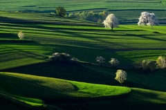 Hriňovské pohľady..