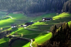 Cestičkou kľukatou..