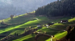 Zeleň, ach tá zeleň..