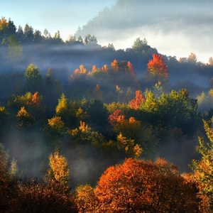 Farby jesenného rána..