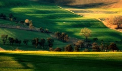 Zelené odtiene jari..