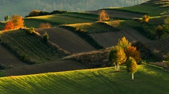 Vlnkovanie jeseňou..