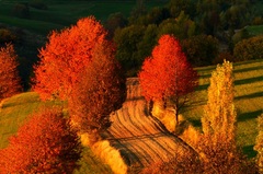 Jeseň mojimi očami..