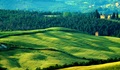 Toskánska vášeň IV