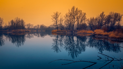 svitol deň  .......