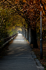 Vytunelovaná jeseň:))