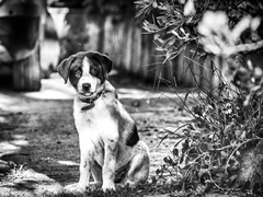 už to cvakni :-).....