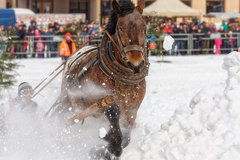 Hijóóó...........