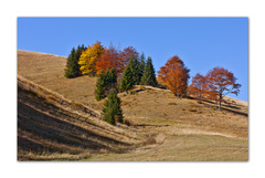 Jesenná maliarova paleta