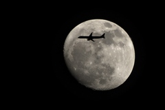 Fly Me to the Moon...
