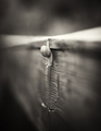 down