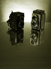 Lubitel vs Flexaret
