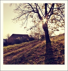 Nad dedinou
